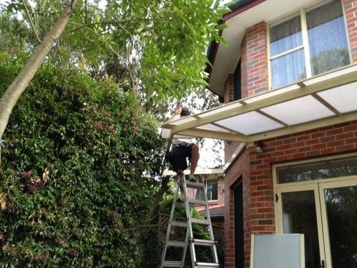 Canter Lever Twin wall Polycarb awnings - Image 9