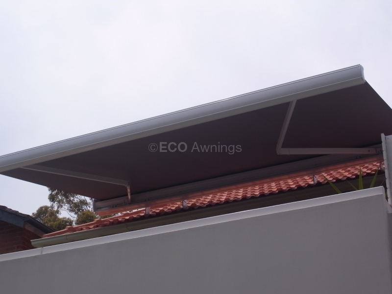 Folding arm awning